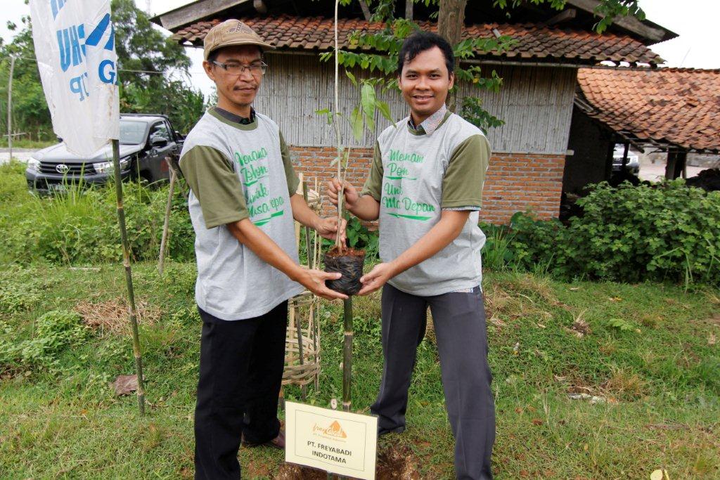 tree planting in the village 2